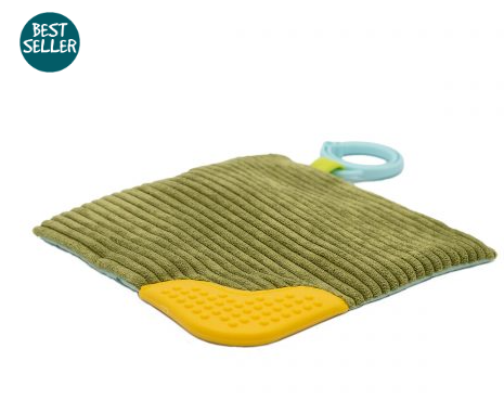 Crinkle Teether - PEBBLESAURUS - by Mary Meyer Baby